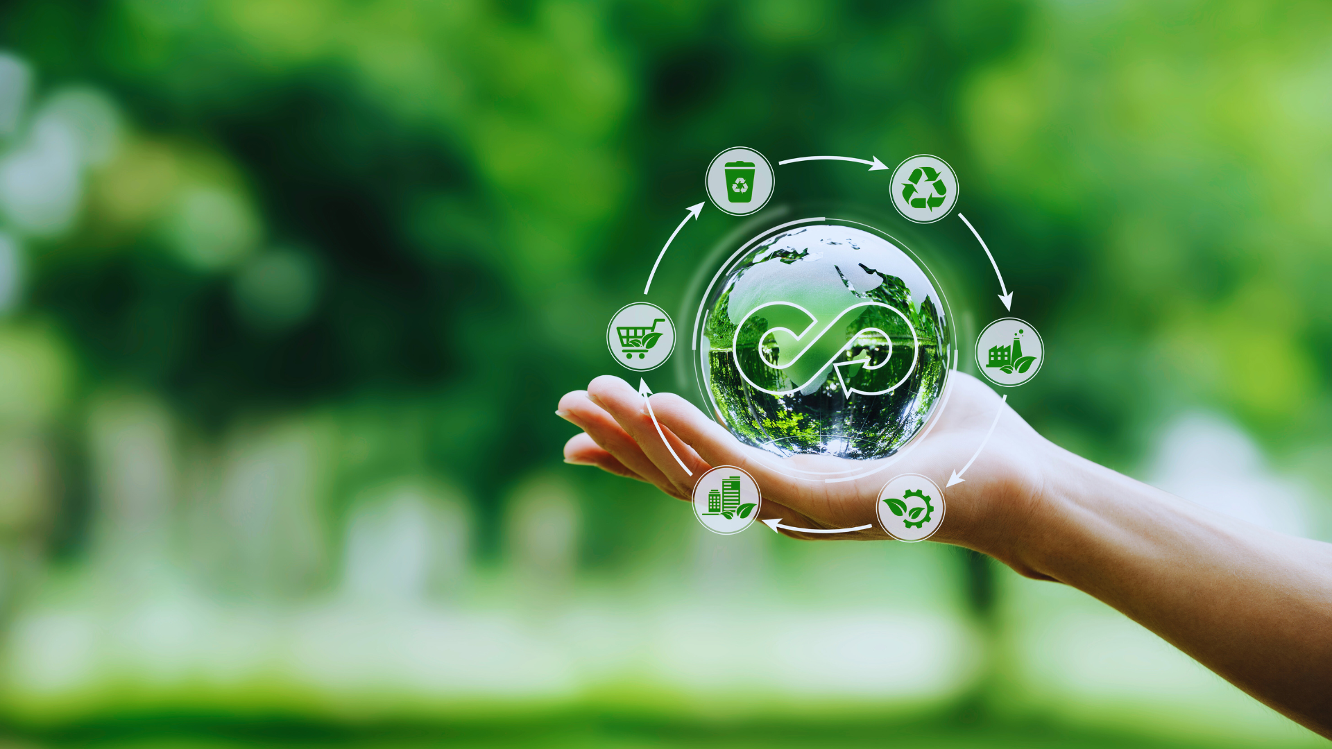 The Circular Economy: Unlocking Pathways to Economic Growth and Environmental Sustainability